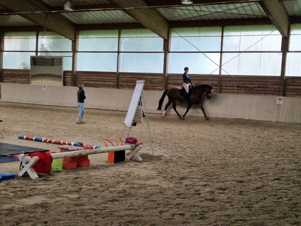 Bewegungstraining nach EM Juni 2025