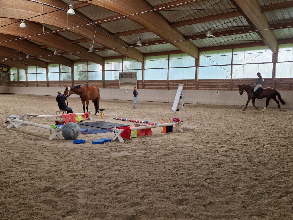 Bewegungstraining nach EM Juni 2025