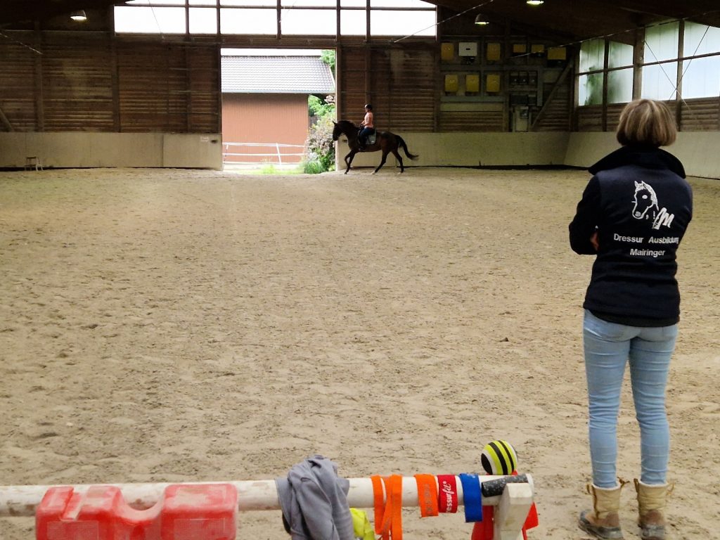 Bewegungstraining nach EM Juni 2025