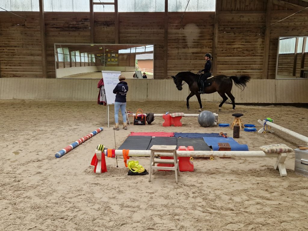 Bewegungstraining nach EM Juni 2025