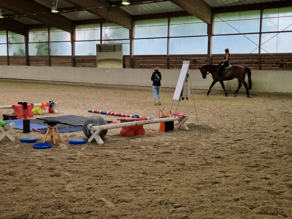 Bewegungstraining nach EM Juni 2025