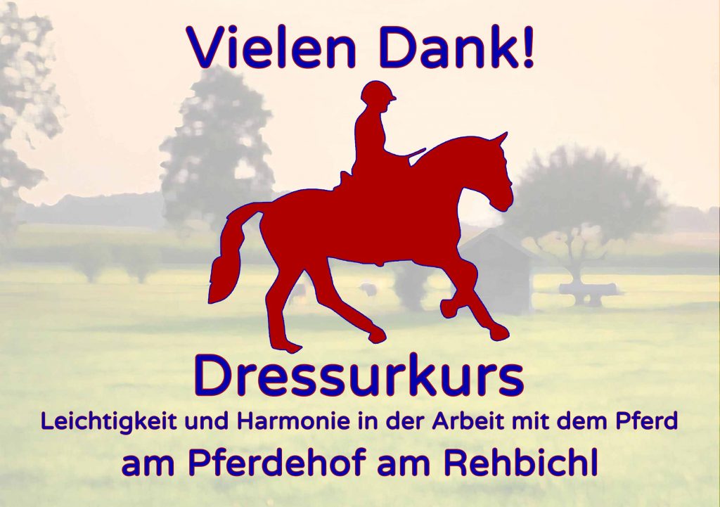 Dressurkurs Juli 2025