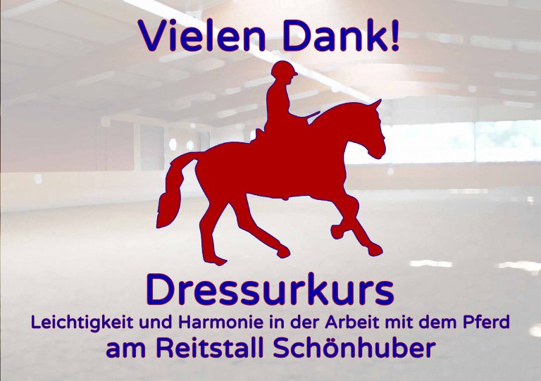 Dressurkurs August 2025