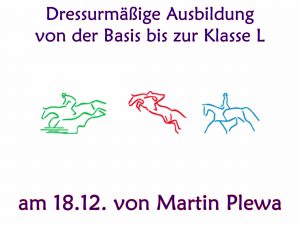 Dressurmäßige Ausbildung von der Basis bis zur Klasse L