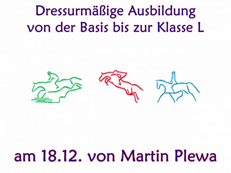 Dressurmäßige Ausbildung von der Basis bis zur Klasse L