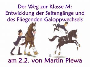 Der Weg zur Klasse M: Entwicklung der Seitengänge und des Fliegenden Galoppwechsels