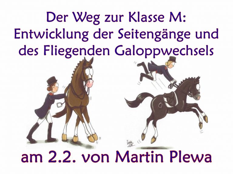 Der Weg zur Klasse M: Entwicklung der Seitengänge und des Fliegenden Galoppwechsels