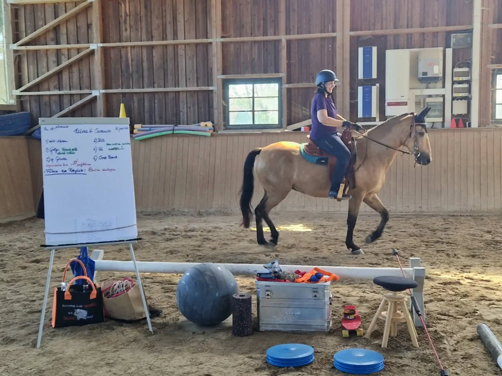Bewegungstraining (EM) nach Eckart Meyners Juli 2026