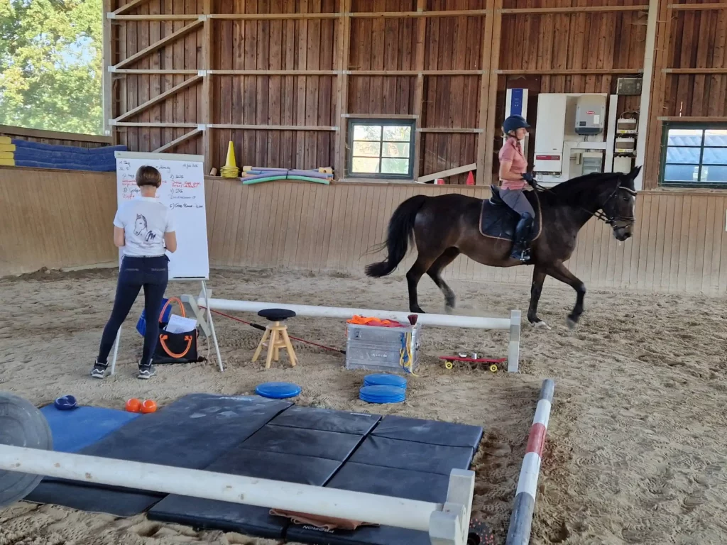 Bewegungstraining (EM) nach Eckart Meyners Juli 2026