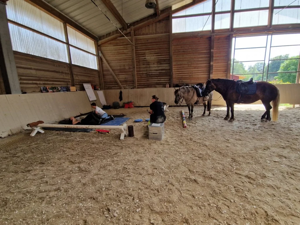 Bewegungstraining (EM) nach Eckart Meyners August 2026