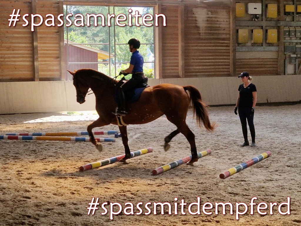 Stangentraining am Reitstall Schönhuber mit Carina Kaltenecker