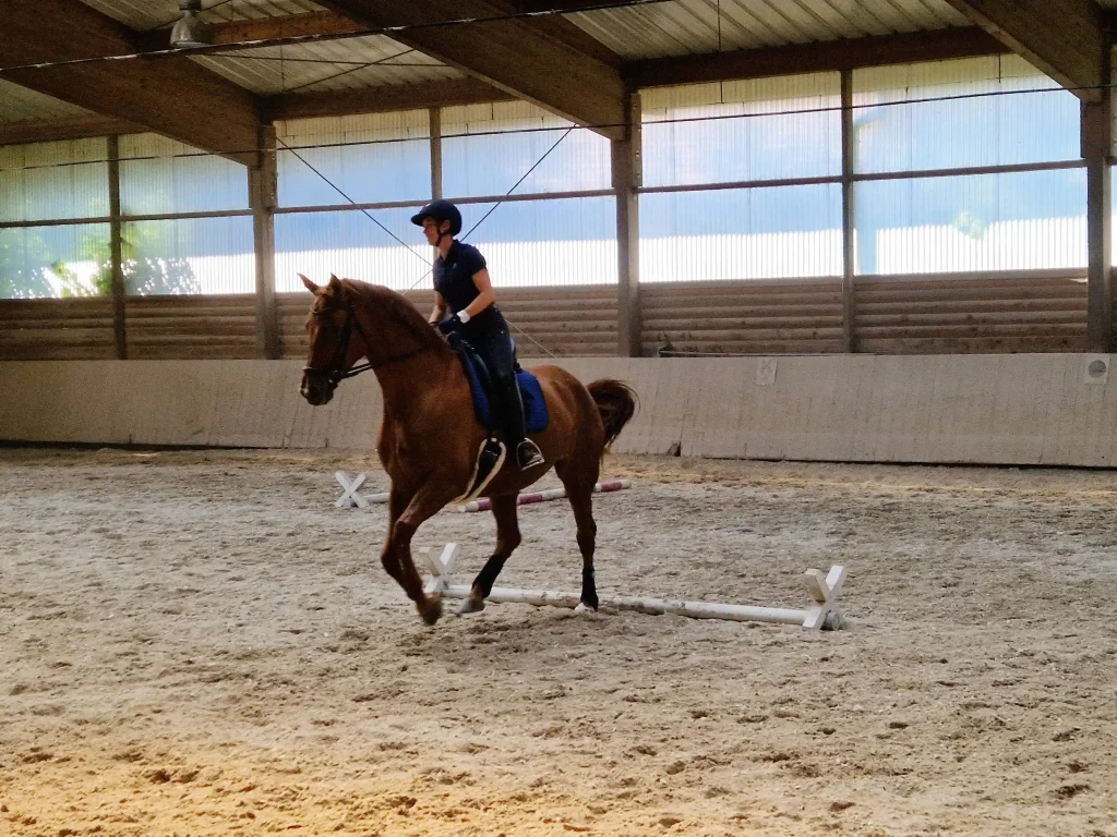 Stangentraining 1
