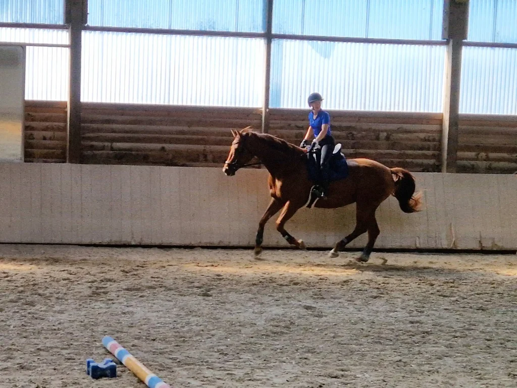 Stangentraining 14