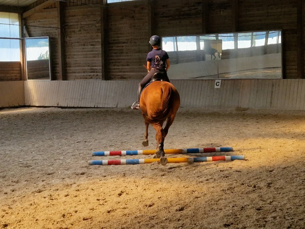 Stangentraining 4