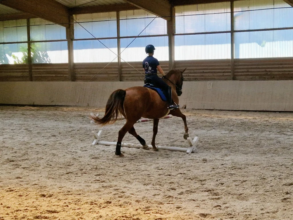 Stangentraining 5